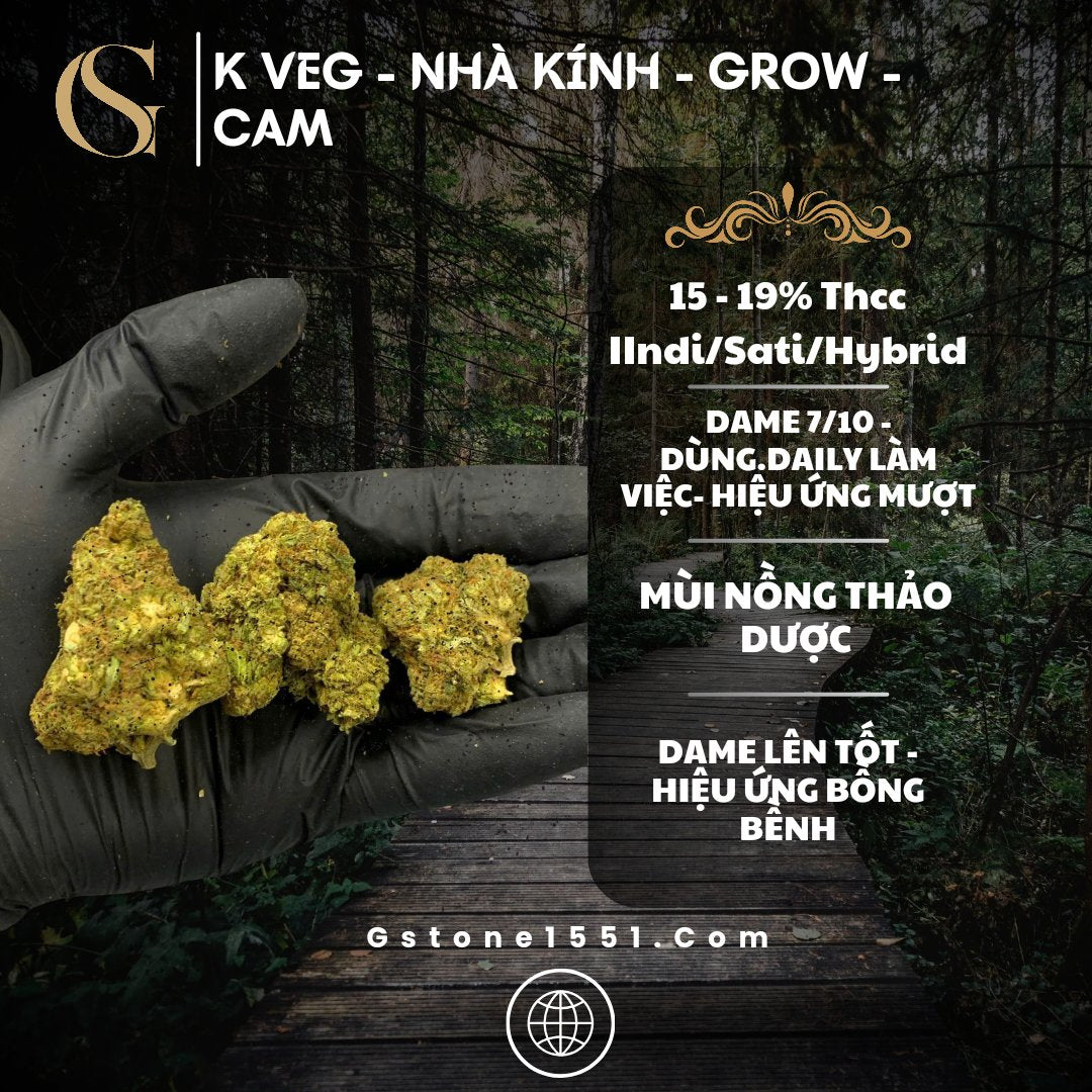 K Vegin - Nhà Kính - Grow - Cam